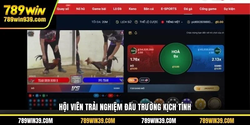 Hội viên trải nghiệm đấu trường kịch tính